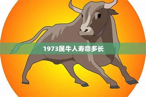 属牛1973|1973年属牛是什么命？水牛之命的特点与运势解析